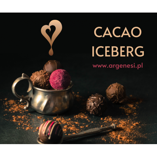 Kakao 21/22% tłuszczu ICEBERG, 2 kg
